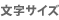 文字サイズ